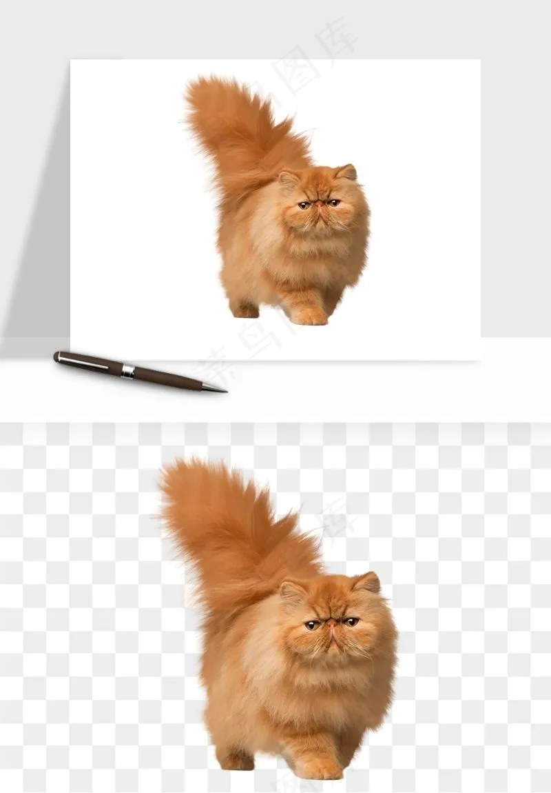猫咪喵星人狗狗宠物元素png免抠