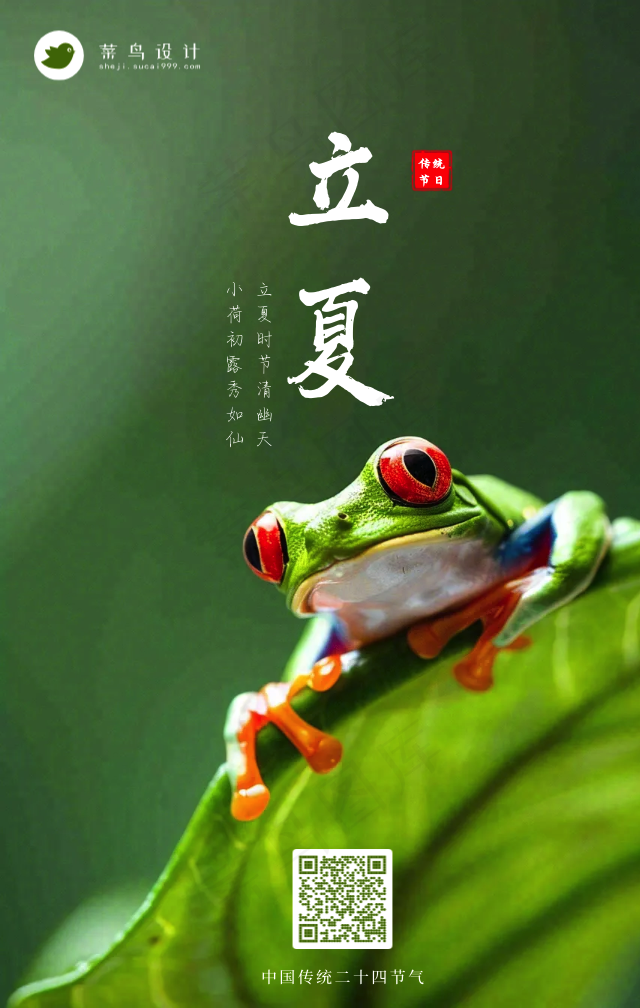 立夏手机海报