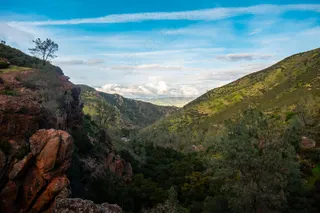 静谧山谷绿意浓