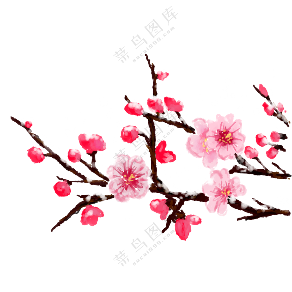 雪中的枝头上粉色梅花免抠PNG图片
