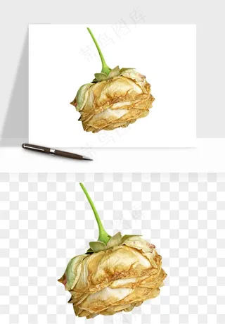 复古鲜花玫瑰png免抠