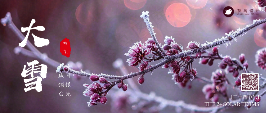 大雪公众号首图