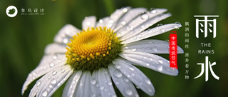 雨水公众号首图