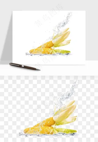 玉米带叶玉米png免抠