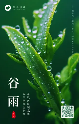 谷雨手机海报