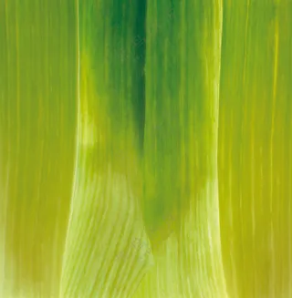 蔬菜切面图片 (2)