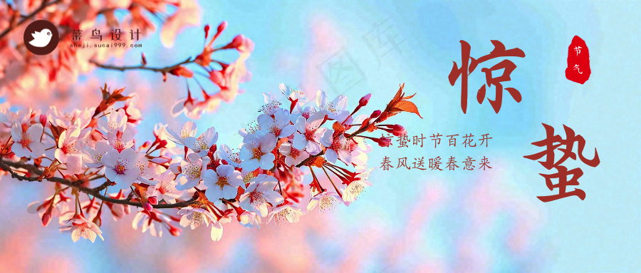 惊蛰公众号首图