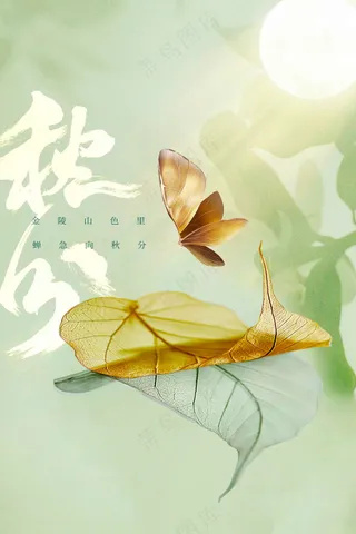 秋分节气传统活动海报