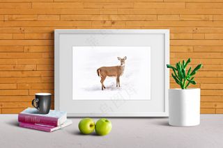 白色相框展示-224