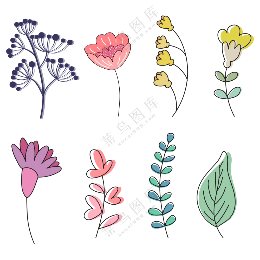 各种颜色种类的花朵 (1)