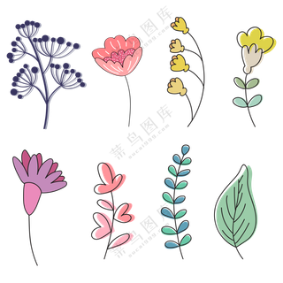 各种颜色种类的花朵 (1)