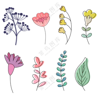 各种颜色种类的花朵 (1)