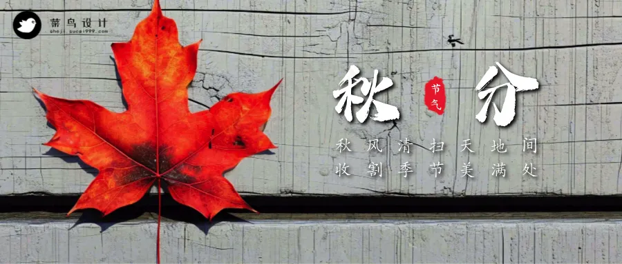 秋分公众号首图