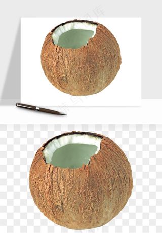 椰子椰果水果png免抠