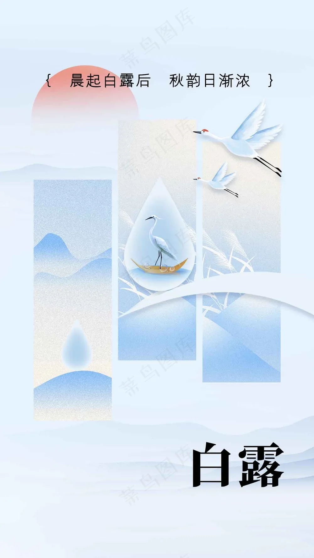 白露节气传统活动宣传海报