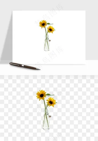 向日葵太阳花卉png免抠