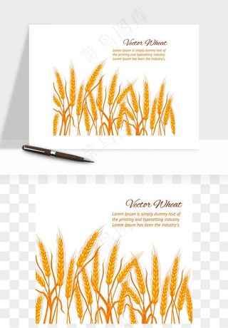 手绘麦穗稻穗麦秆矢量png免抠