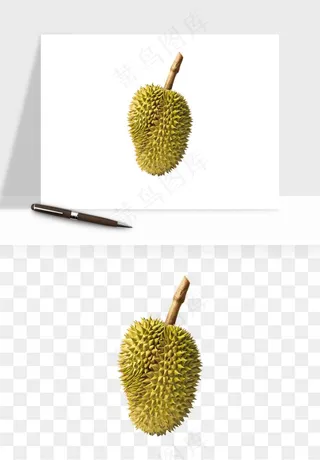 榴莲果肉水果png免抠