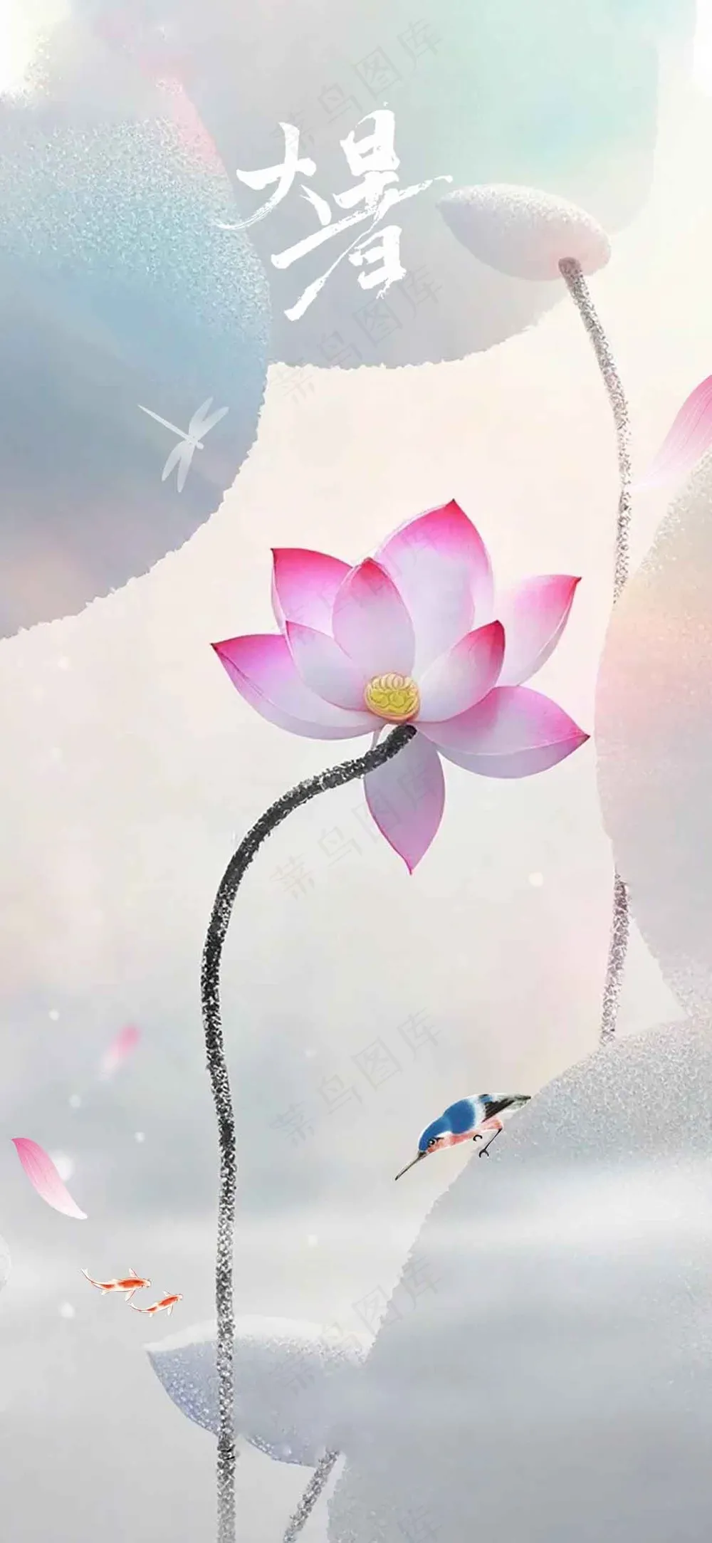 简约大暑节气传统活动海报