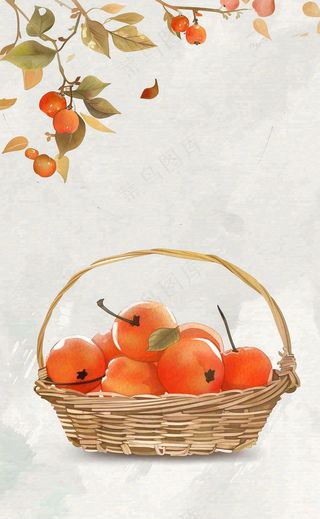 秋冬柿子树下的柿子水果霜降插画背景