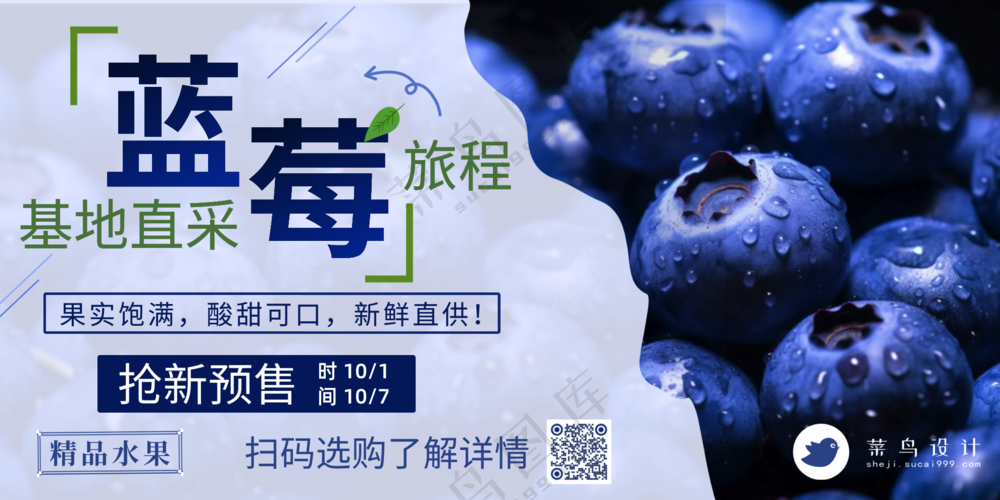 基地蓝莓抢新预售水果促销展板海报