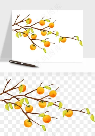 手绘柿子树秋png免抠