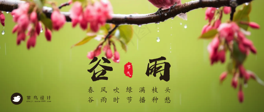 谷雨公众号首图