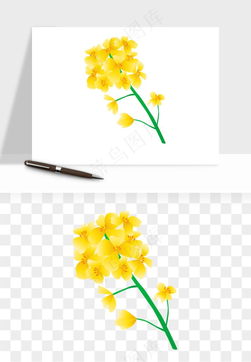 油菜花田png免抠