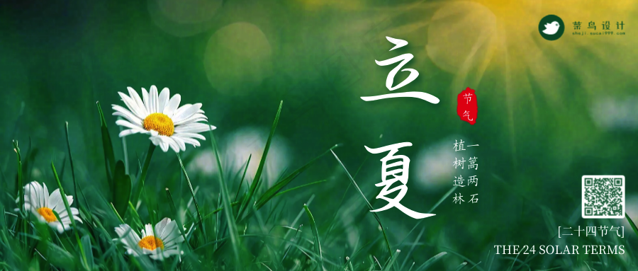 立夏公众号首图