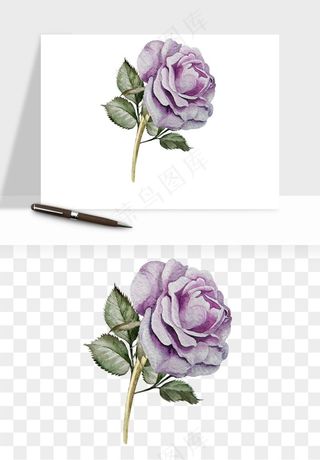 水彩复古花卉png免抠