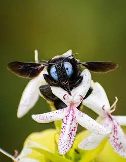 微观世界之生态共舞