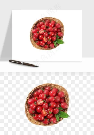 西红柿番茄圣女果png免抠