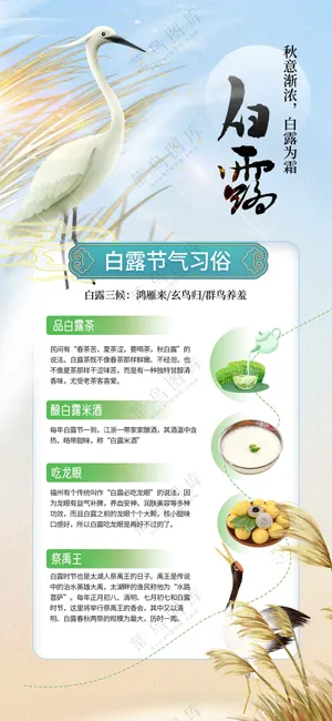 白露节气传统活动海报