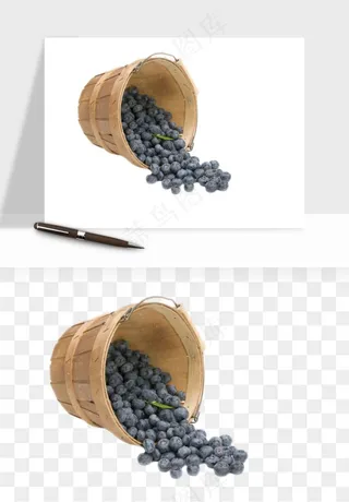 蓝莓水果png免抠