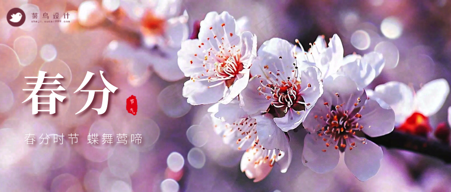 春分公众号首图