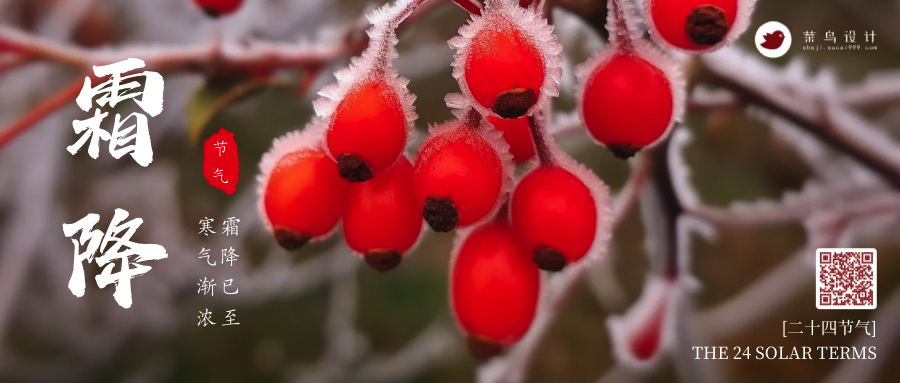 霜降公众号首图