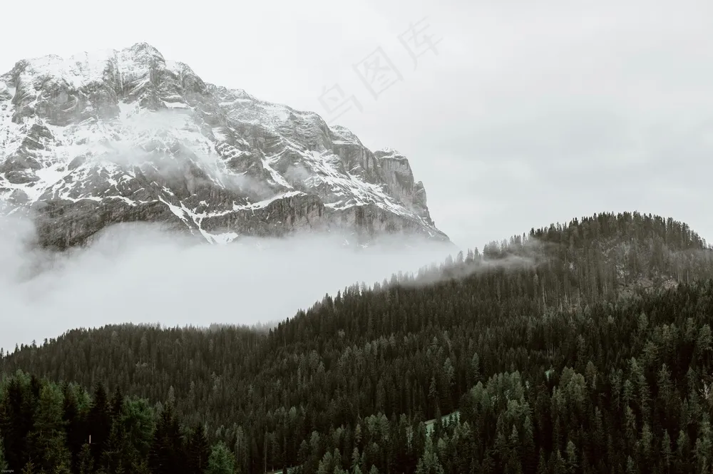 雪峰森林幽韵灰调壁饰