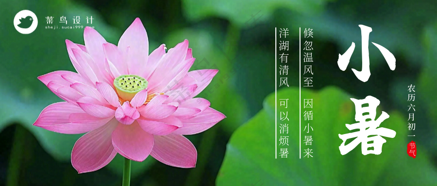 小暑公众号首图