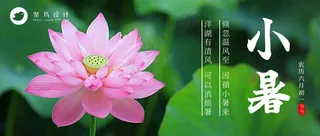 小暑公众号首图