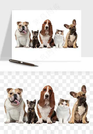 猫咪喵星人狗狗宠物元素png免抠