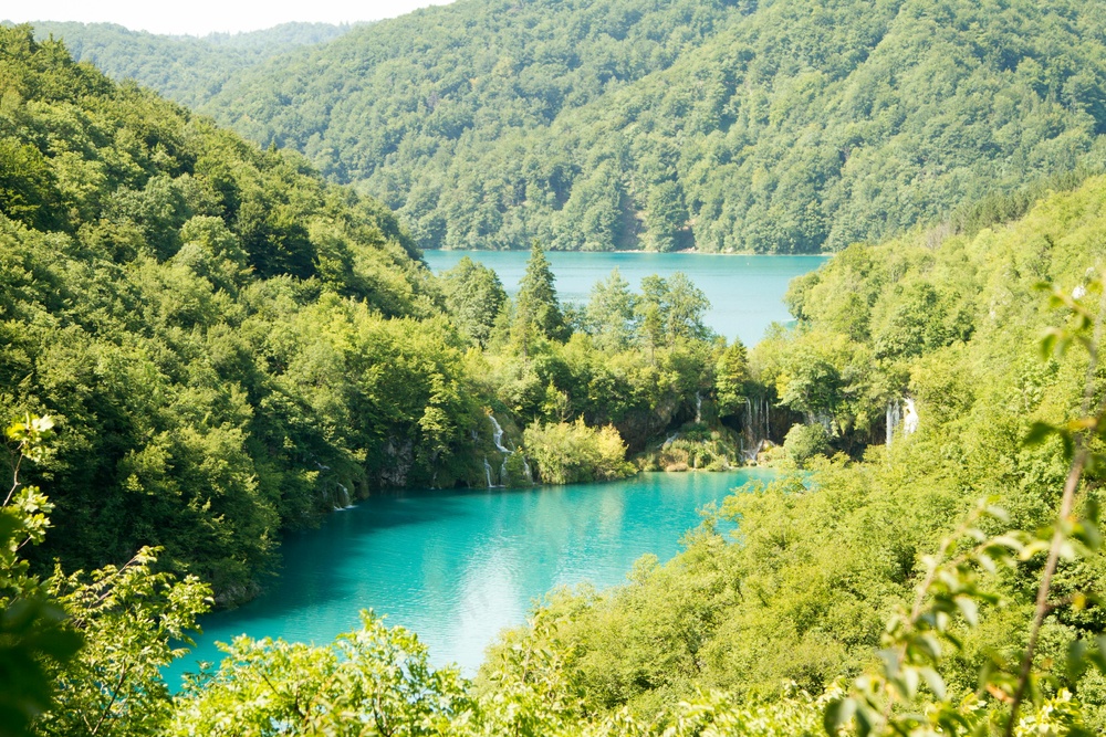 蓝湖绿林静谧景·自然生态风格·蓝绿清新·摄影珍藏