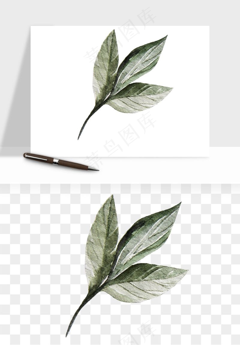 水彩复古植物花卉png免抠