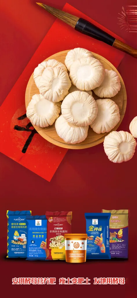 小年小年快乐PSD海报