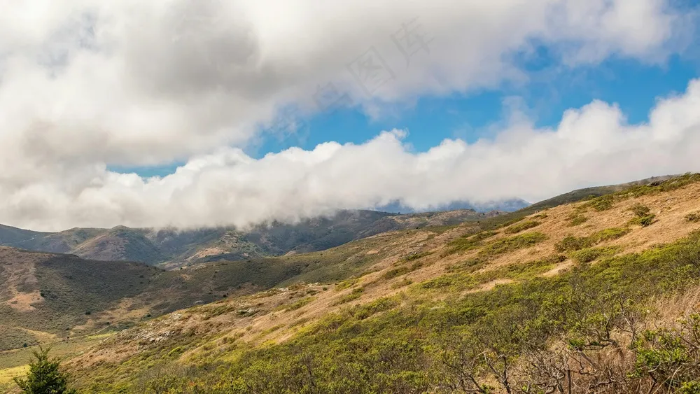 蓝天下的广阔草原