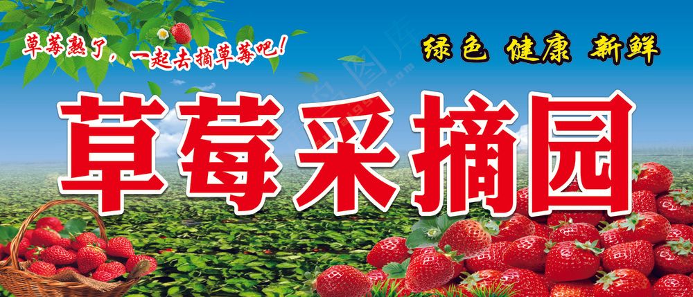 草莓园采摘
