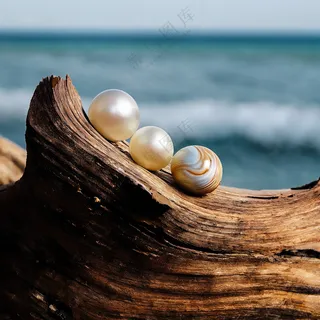 海面木头上的珍珠