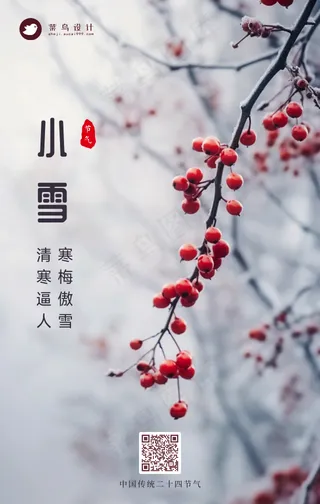小雪手机海报