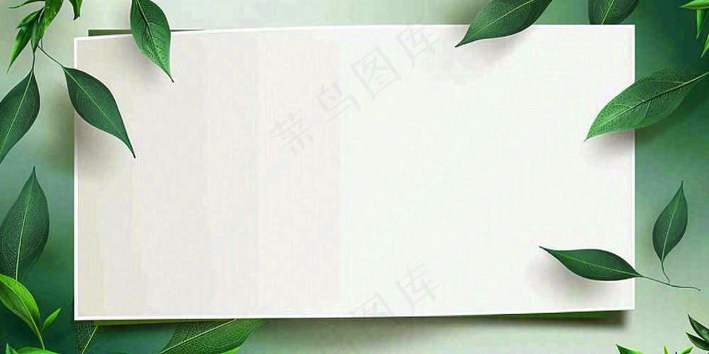 绿叶粽叶绿色边框白色信封端午节插画背景