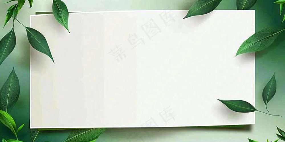 绿叶粽叶绿色边框白色信封端午节插画背景