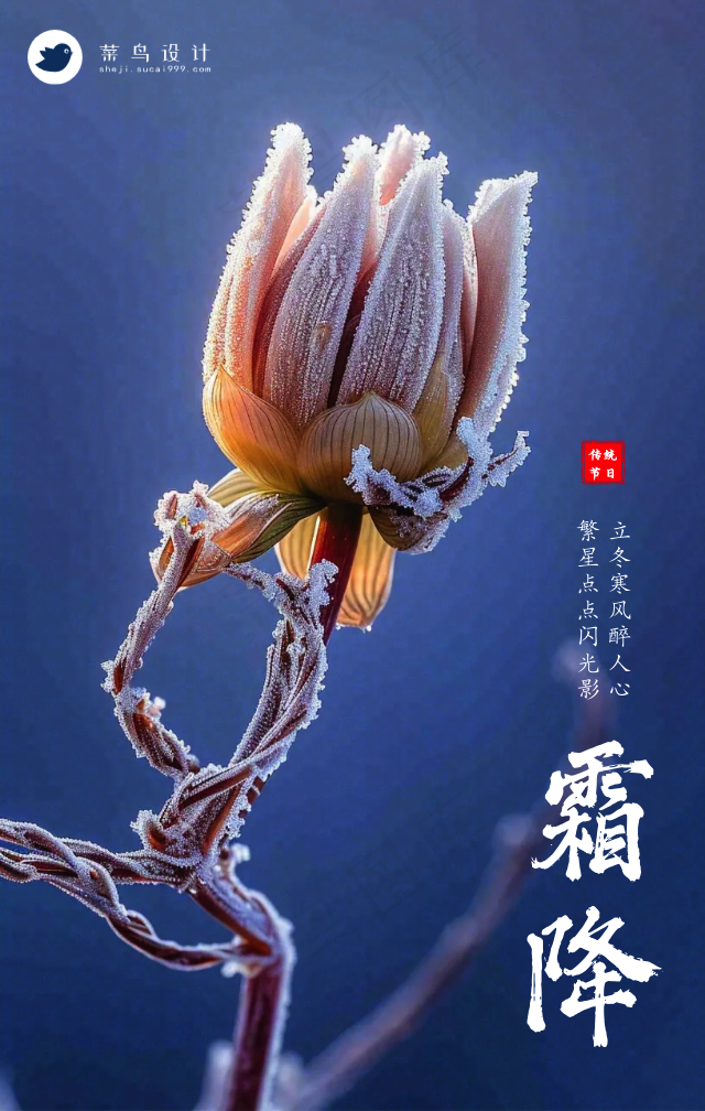 立冬手机海报